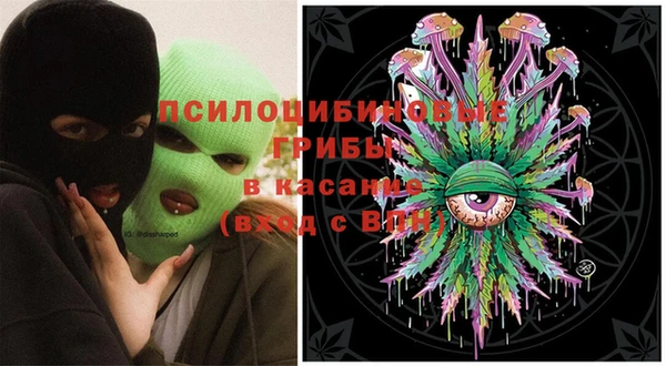 гашик Балабаново