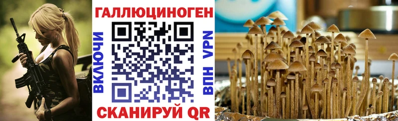 Псилоцибиновые грибы GOLDEN TEACHER  купить наркотик  блэк спрут маркетплейс  Черноголовка 