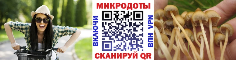 Галлюциногенные грибы Cubensis Черноголовка